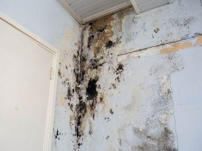 About Emergency Water Damage Pros - emergency water extraction experts in Leander, TX